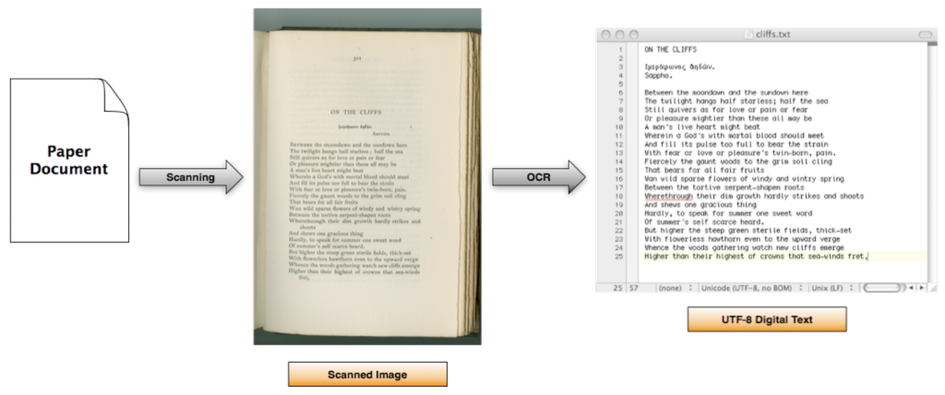 Text digitization process