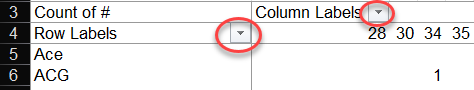 Row and Column label filters